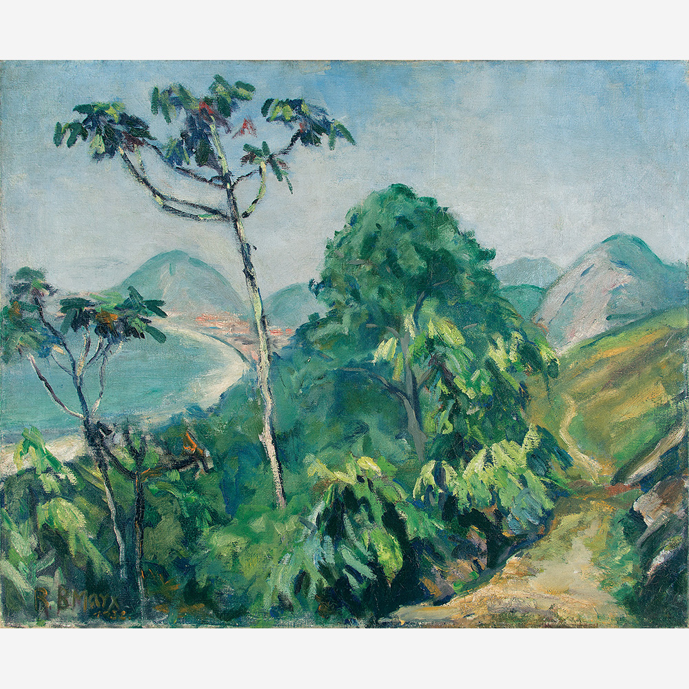 Morro Chapéu Mangueira