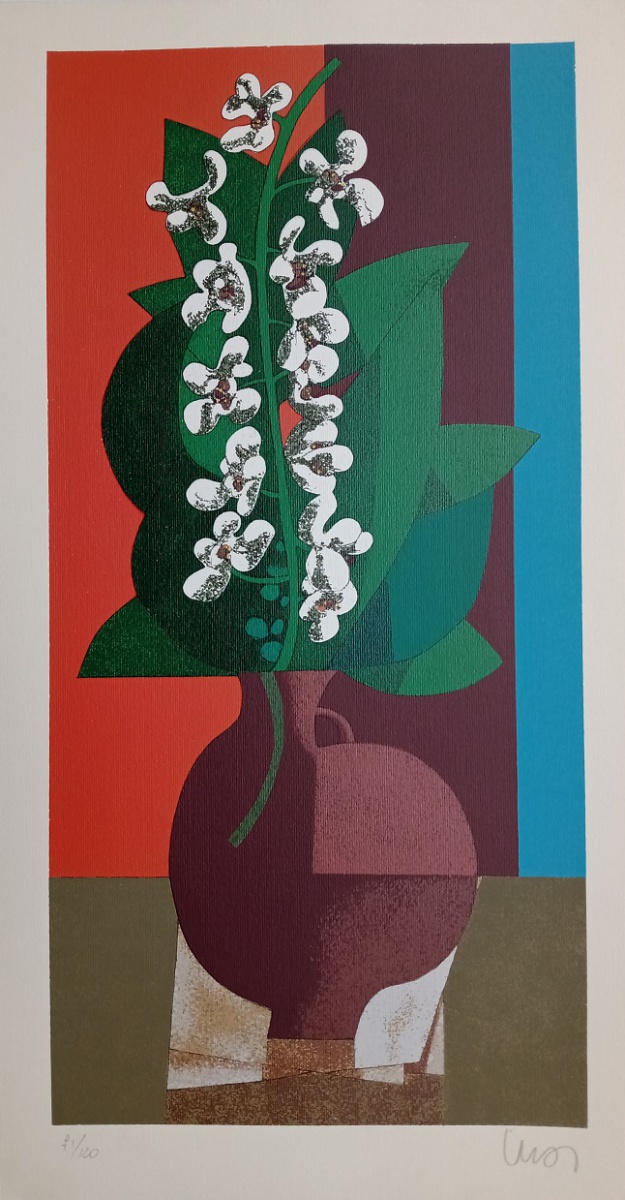 Orquídeas