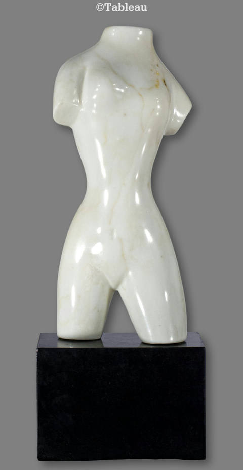 Torso