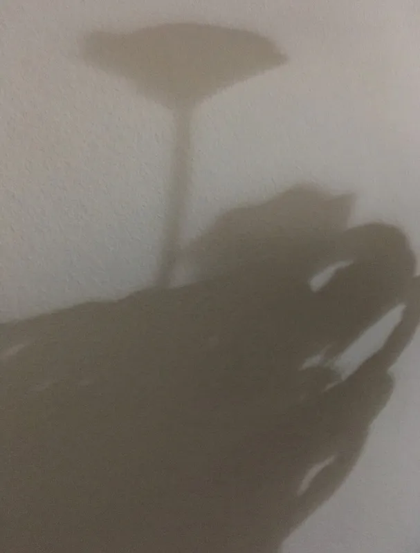 Nato Gomes - Dialogando com as Sombras V