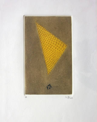 Arthur Luiz Piza - Triangle jaune