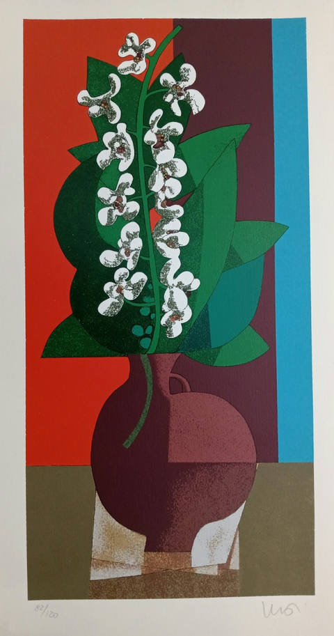 Orquídeas