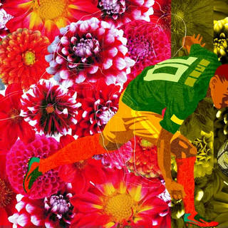 Nato Gomes - Nem Tudo São Flores I