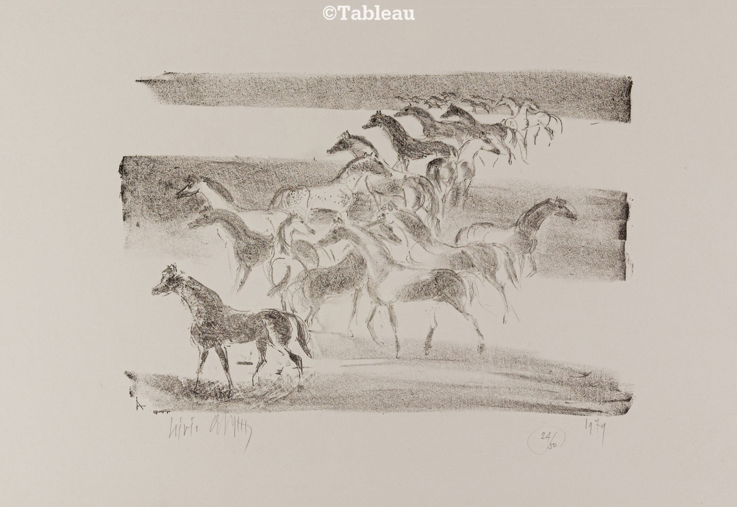 Cavalos