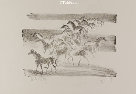 Cavalos