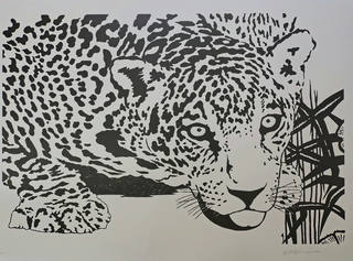 Kleber Ventura - Onça Pintada