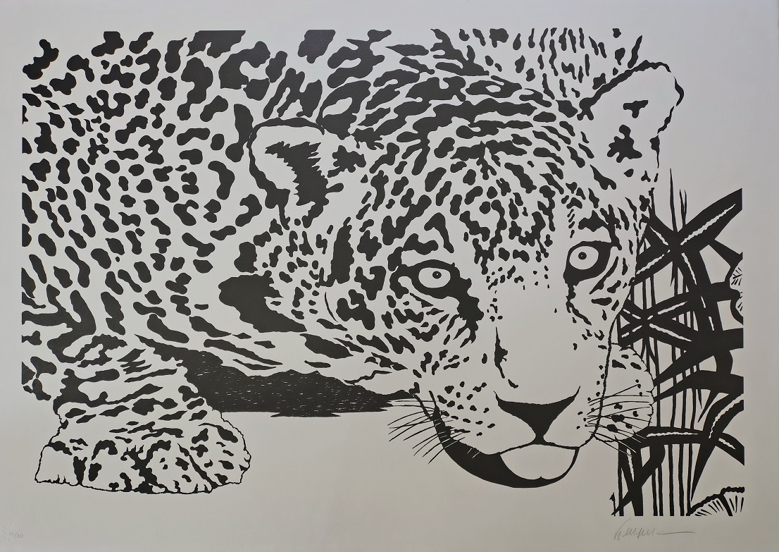 Kleber Ventura - Onça Pintada