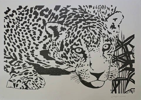 Onça Pintada