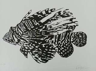 Kleber Ventura - Peixe