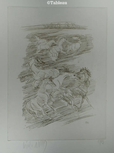 Cavalos