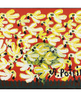 Antonio Poteiro - Revoada