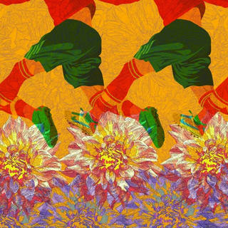 Nato Gomes - Nem Tudo São Flores IV
