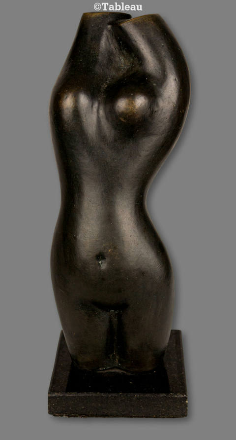 Torso