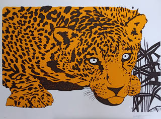 Kleber Ventura - Onça pintada amarela