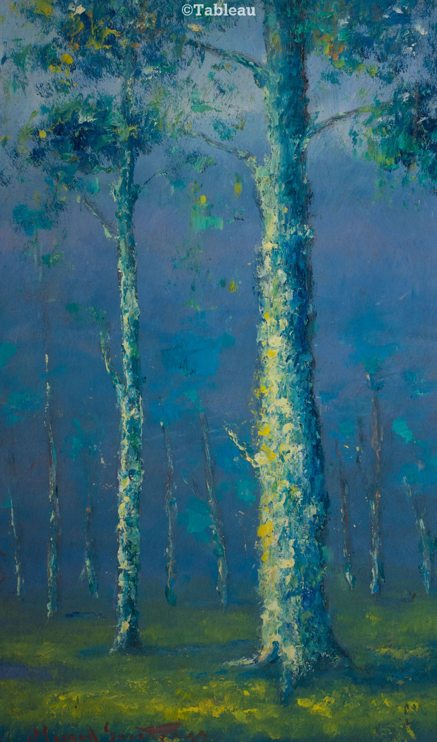 Manoel Santiago - Cascudas