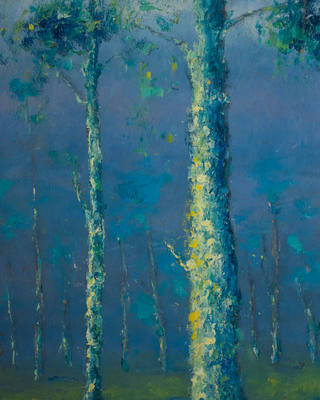 Manoel Santiago - Cascudas