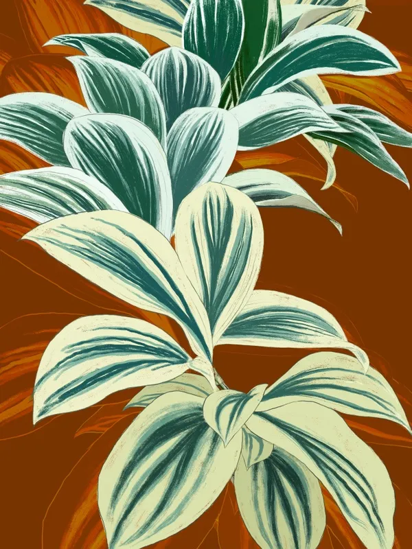 Spiral Ginger I