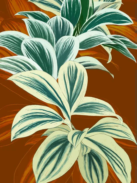 Spiral Ginger I