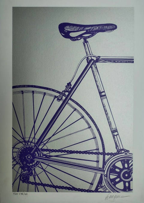 Bicicleta Roxa