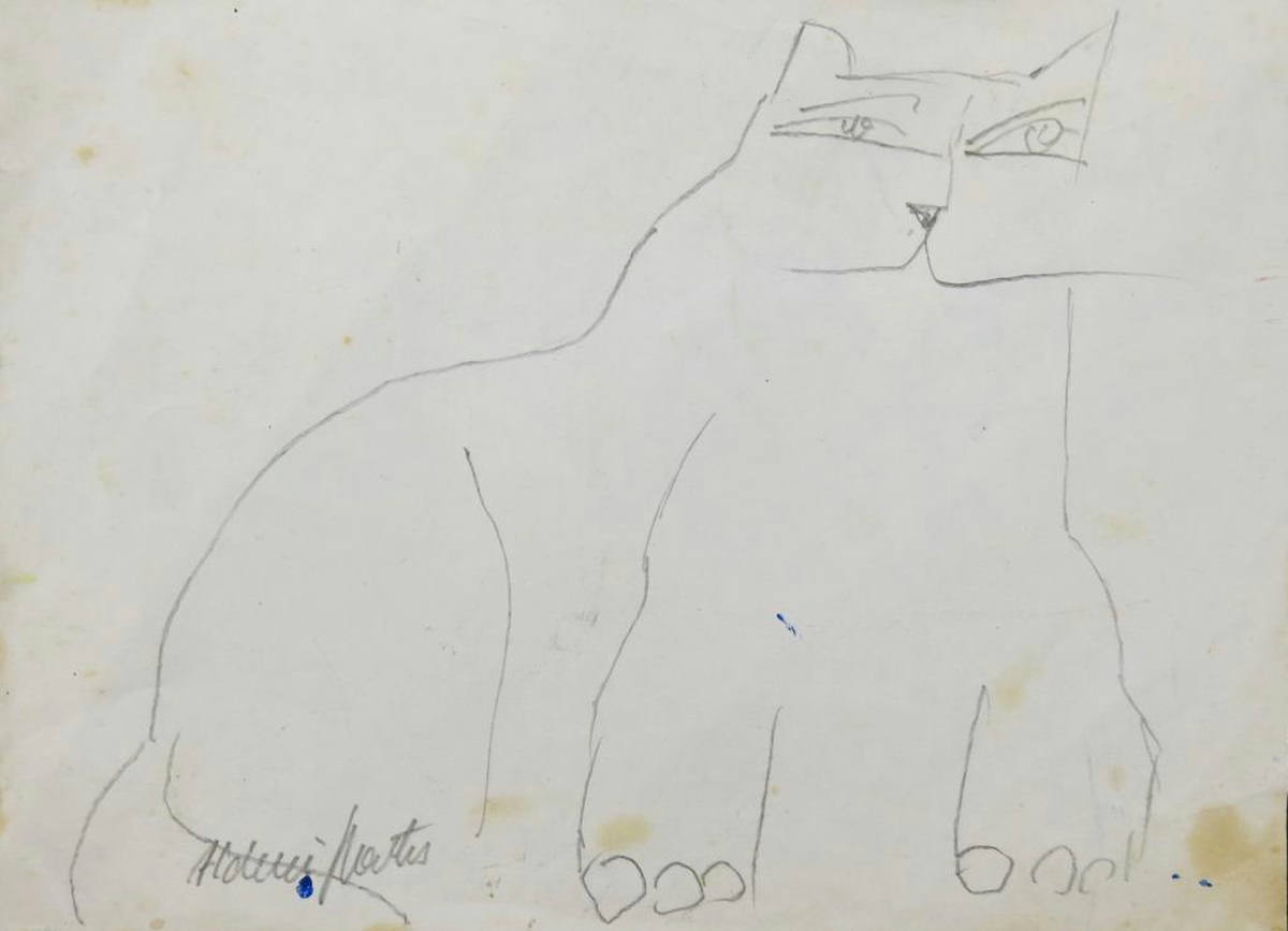 Gatos