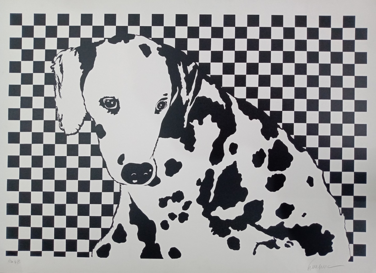 Cachorro branco