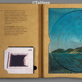 Cildo Meireles - Rio Oir