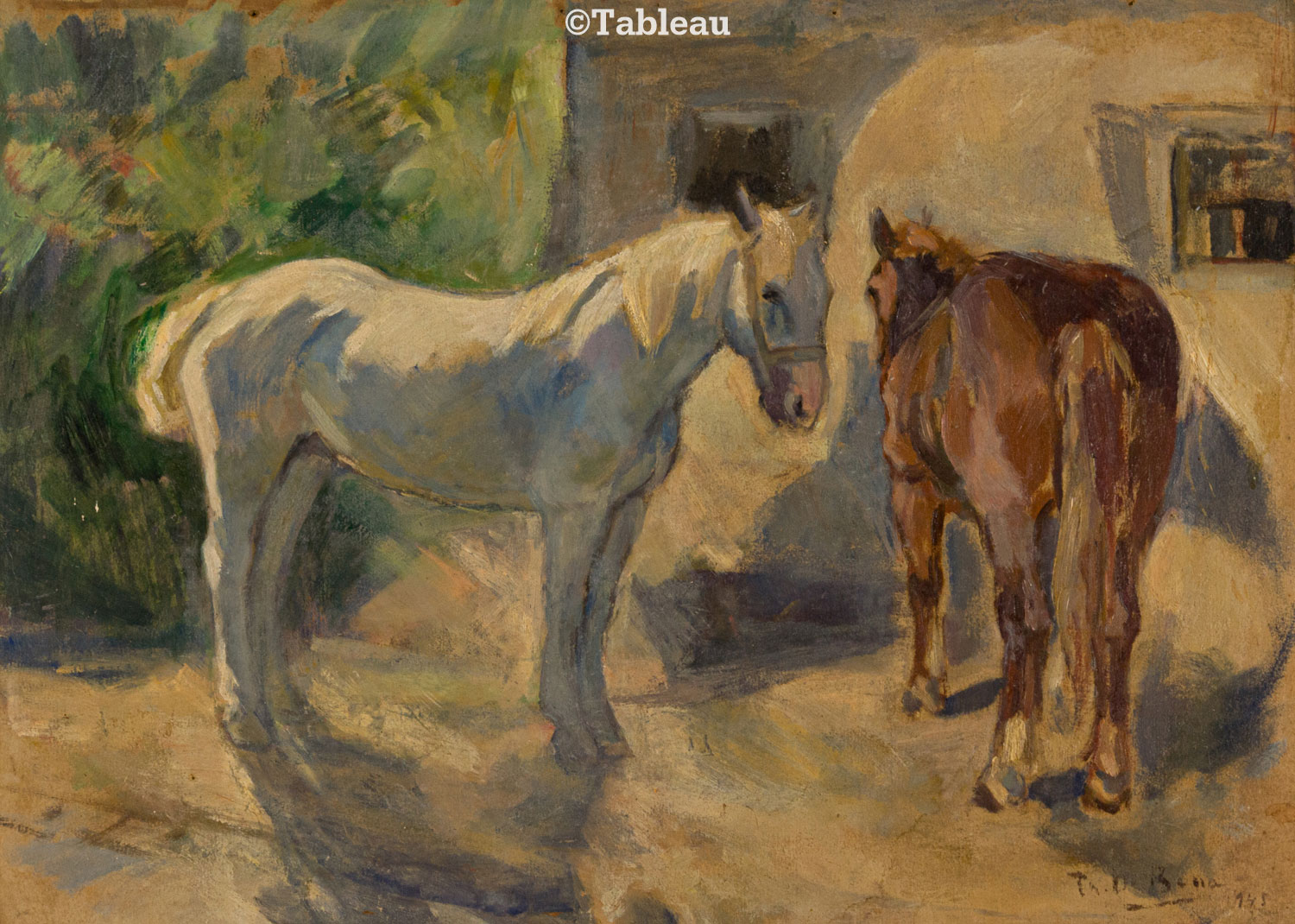 Cavalos