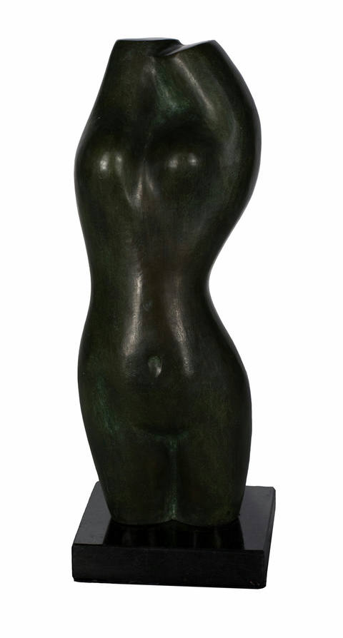 Torso