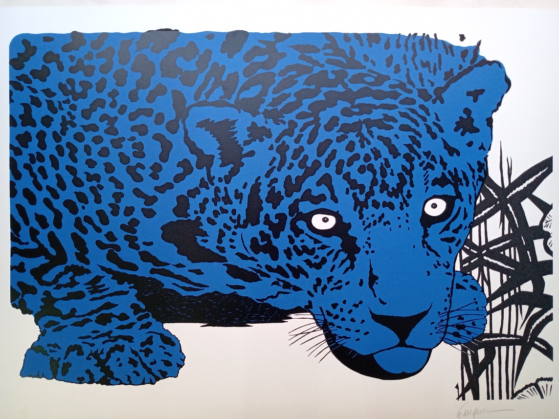 Onça Azul