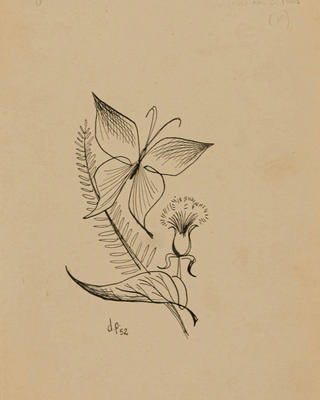 Darcy Penteado - Borboleta