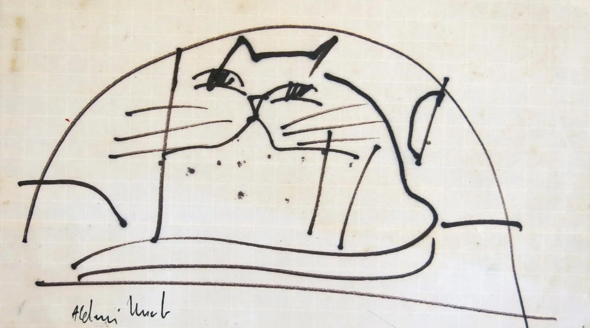 Gato