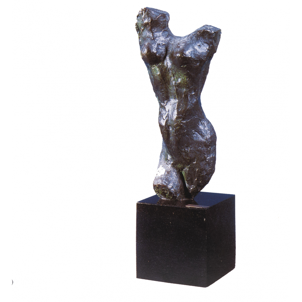 Torso