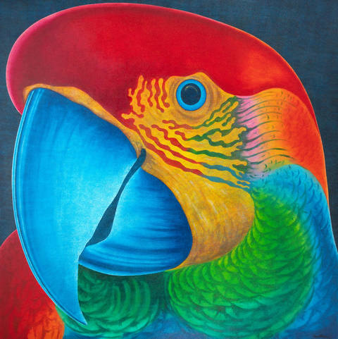 Papagalia