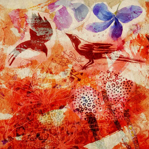 Voo de Primavera