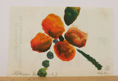 Flor Data