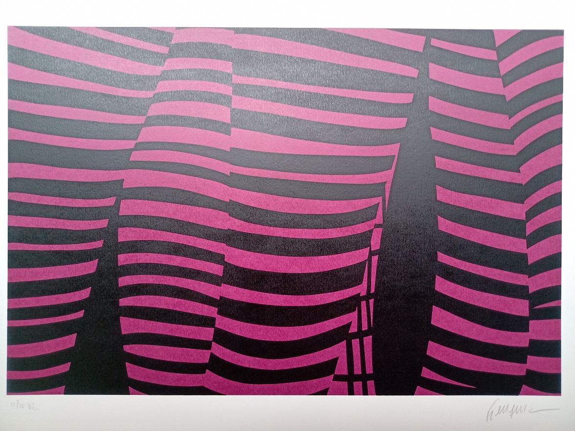 Kleber Ventura - Perna Pink
