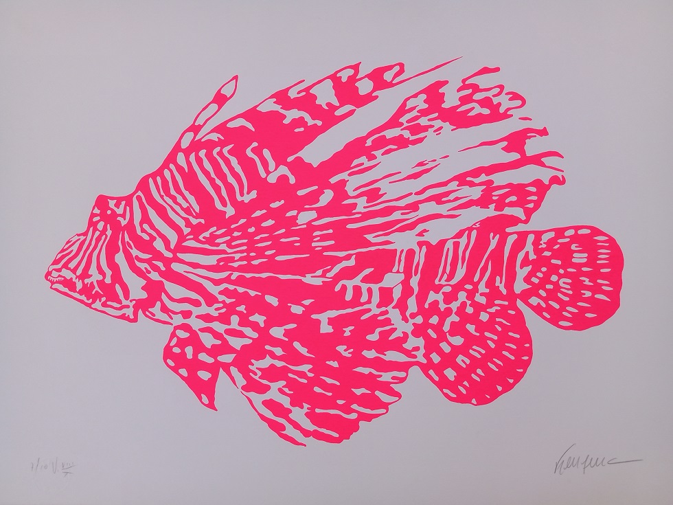 Kleber Ventura - Peixe Rosa