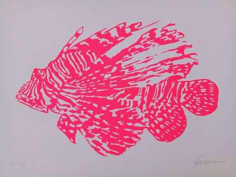 Peixe Rosa
