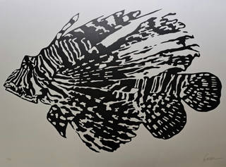 Kleber Ventura - Peixe