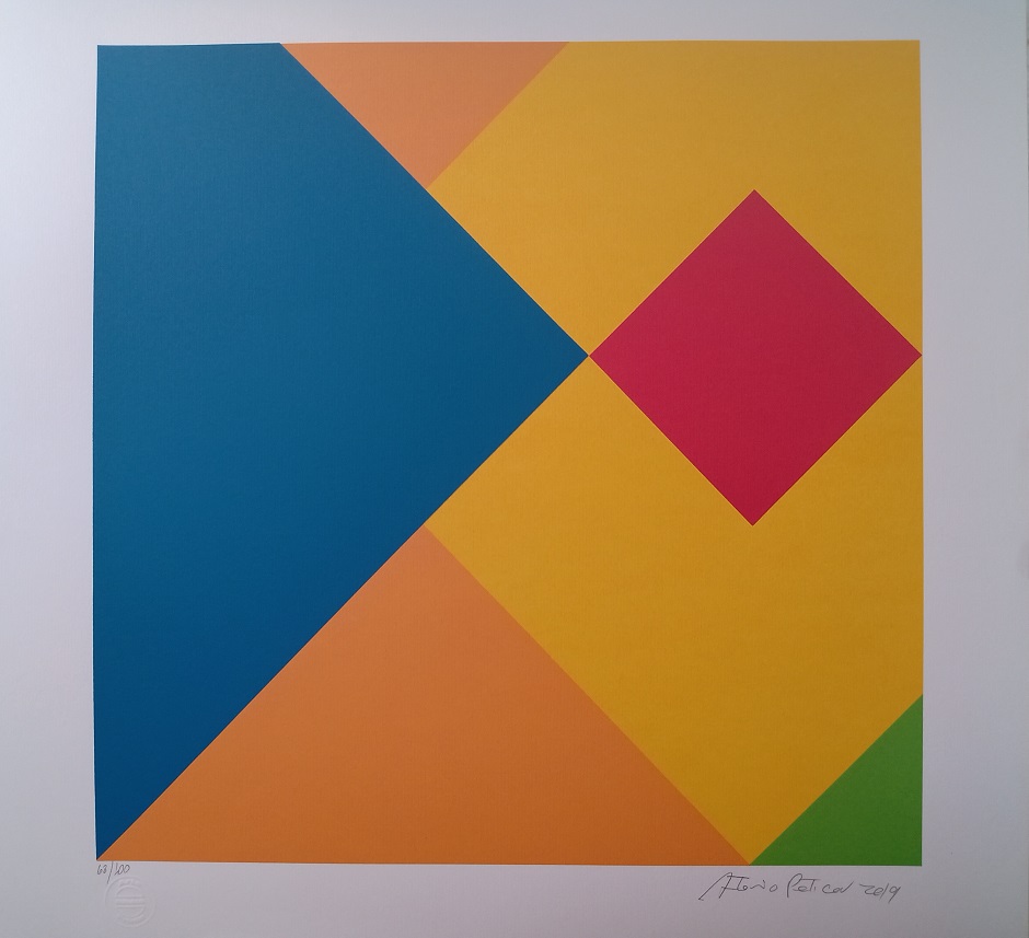 Antonio Peticov - Geometria