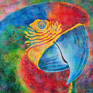 Claudio Tozzi - Papagalia