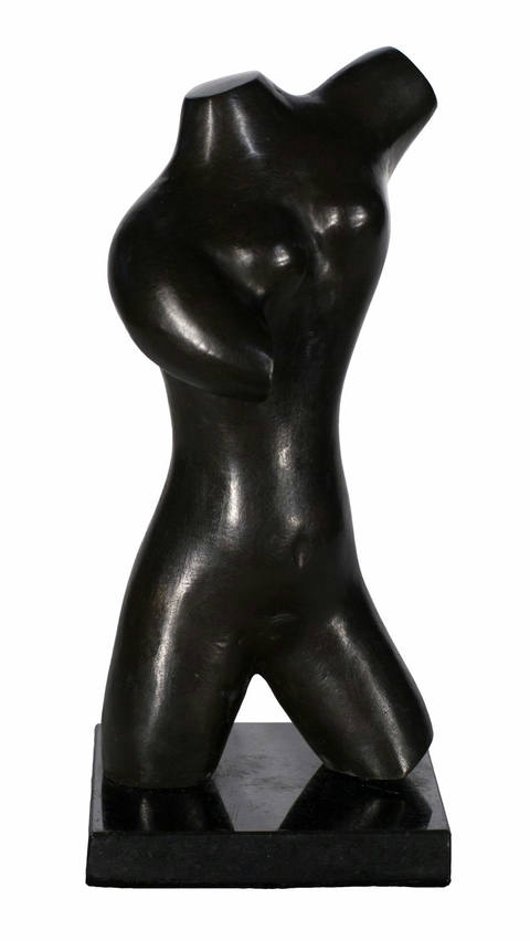 Torso