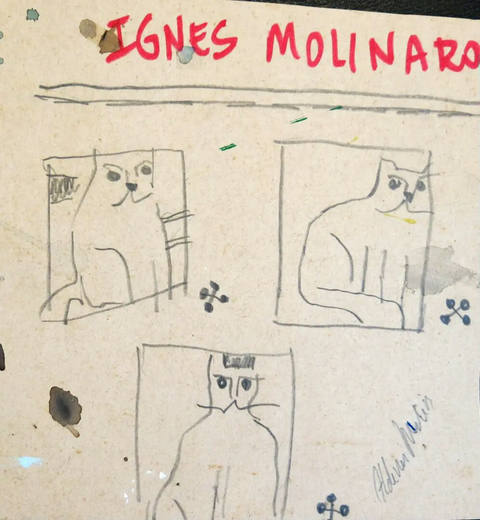 Gatos