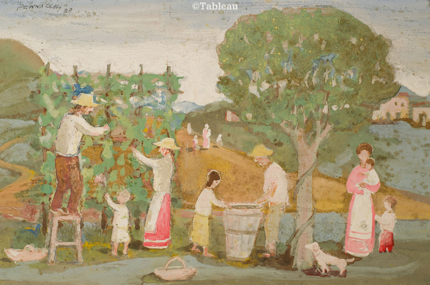 Fulvio Pennacchi - Colheita de uva