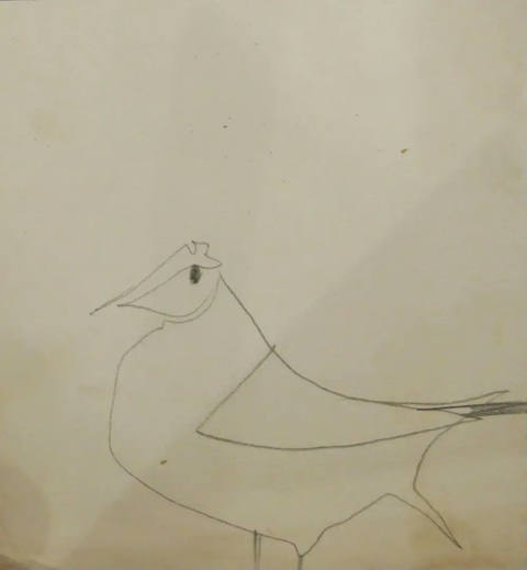 Pássaro