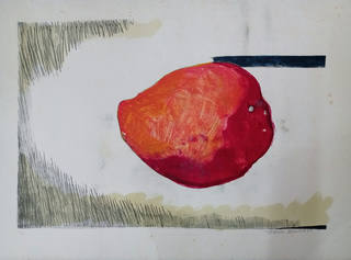 Aldemir Martins - Fruta