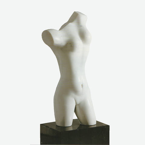 Torso