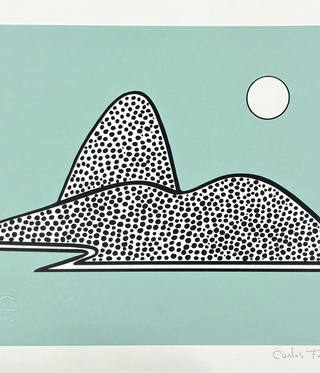 Carlos Furtado - Figura
