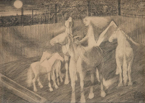 Menina com Cavalos