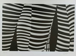 Kleber Ventura - Perna Cinza